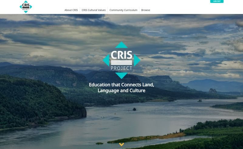 Image of the CRIS Project website front page